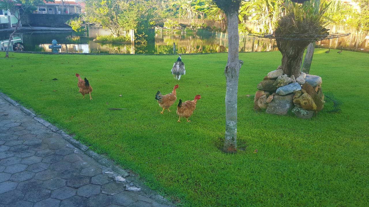 Pousada Pavao Branco Florianópolis Exterior foto