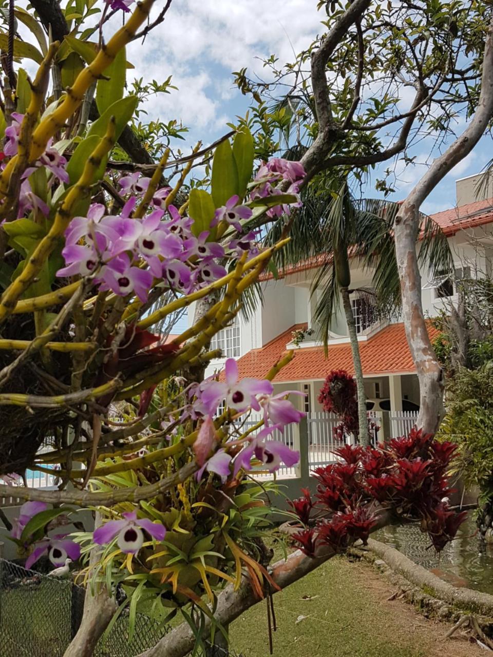 Pousada Pavao Branco Florianópolis Exterior foto